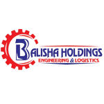 logo of Balisha Holdings company proudly designed by BizX Africa